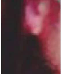 ミカヅキモモコ | イヤリング