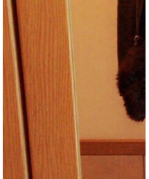 ZARA | ストール/ショール