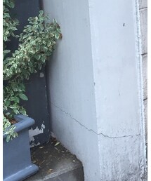 Odds | かごバッグ