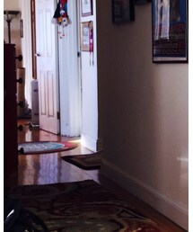 H&M | チュニック