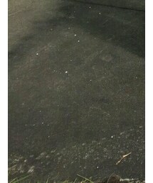 瞬速 | スニーカー