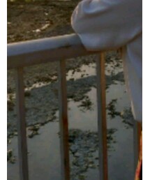 Techichi | シャツ/ブラウス