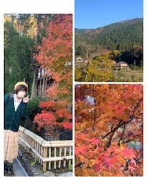 🍁紅葉がめちゃ綺麗でしたぁ🍁 | 🍁🤗🍁😊🍁(その他)