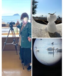 ⛄️作:鮎の雪だるま⛄️ | 明日にも飛び立つ予定の白鳥🦢(雑貨/ホビー)
