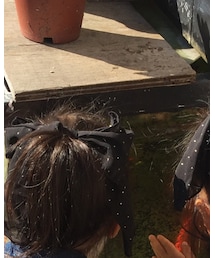 Cando | ヘアゴム