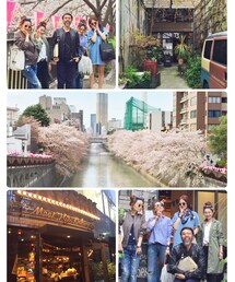 🌸✿ ･* | その他