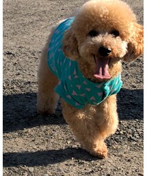 Handmade | Tシャツ/カットソー