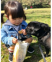 🐶 | その他