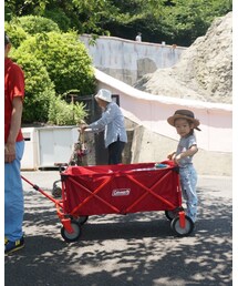 荷物運びのお手伝い | その他