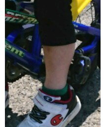 Champion | スニーカー