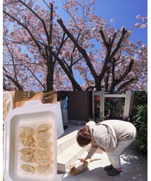 おうちごはんと猫と桜 | (福袋/福箱)