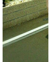 UNIQLO | スカンツ(その他パンツ)