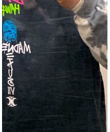 STUSSY | ハワイ(Tシャツ/カットソー)