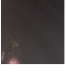 E hyphen world gallery | Tシャツ/カットソー