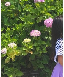 GU | Tシャツ/カットソー