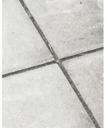 でかけると寝転び攻撃…(汗) | その他