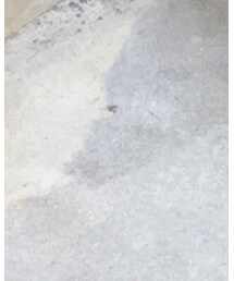 CONVERSE | スウェット