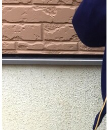 no brand | タイツ/ストッキング