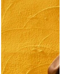 Vivienne Westwood | Tシャツ/カットソー