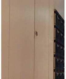 BOY LONDON | その他パンツ