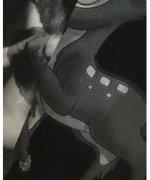 GIVENCHY | Tシャツ/カットソー