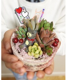 多肉植物🌿 | 今日作りました^ ^多肉植物✨(その他)