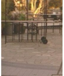 わからない | ダウンジャケット/コート