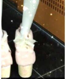 E hyphen world gallery Bon Bon | パンツ