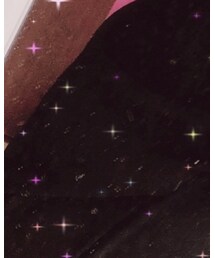 evelyn | スカート