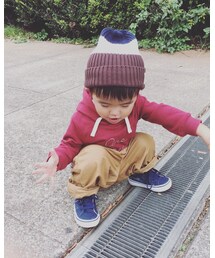📷✨アリ🐜さん観察 | その他