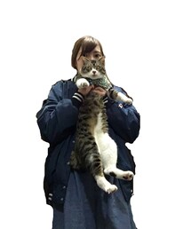 いたずら猫 | その他