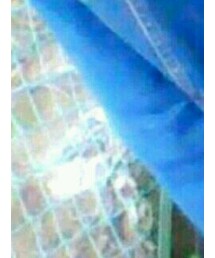 毎日投稿がんばる！ | その他