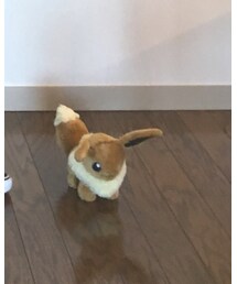 ポケモン | イーブイが現れた!!(その他)
