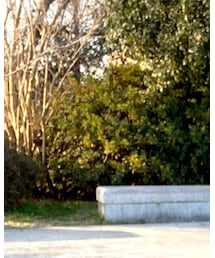 URBAN RESEARCH | ニット/セーター