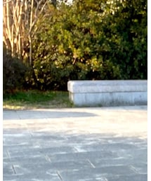 ケーブルニット | ニット/セーター