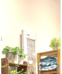 studio CLIP | 帽子