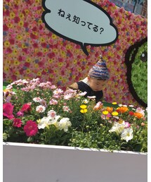 ねぇ知ってる？ | その他