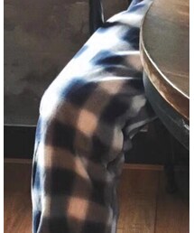 NECY | チノパンツ