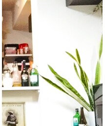 古着 | その他パンツ