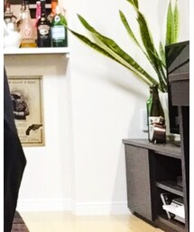 Dickies | その他パンツ