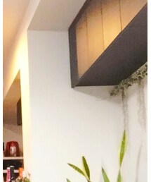 UNIQLO | ソックス/靴下