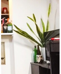 Levi's | デニムパンツ