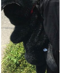 ジジ | バックパック/リュック