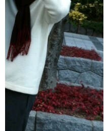 Paul Smith | パンツ