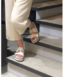 Inpaichthys kerri | サンダル