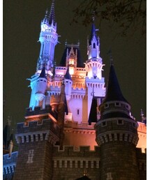ディズニーランド♥️ | その他