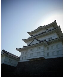 小田原城 | その他