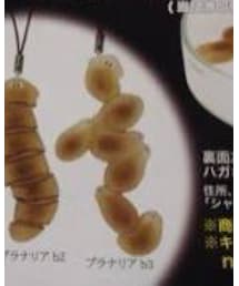 プラナリア ガチャ | その他