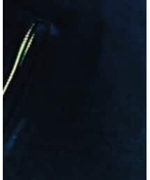 Harley-Davidson | ライダースジャケット