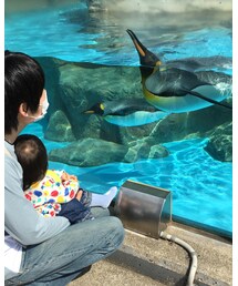 動物園 | その他